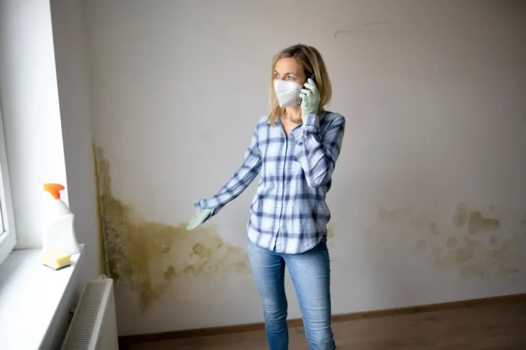 Apartamento alugado com mofo e umidade: conheça seus direitos